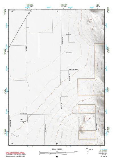 31109NE Page 48 Chiricahua Peak Topo Preview 1