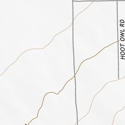 31109NE Page 48 Chiricahua Peak Topo Preview 2