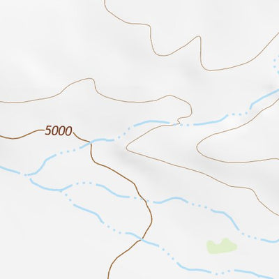 31109NE Page 49 Chiricahua Peak Topo Preview 2