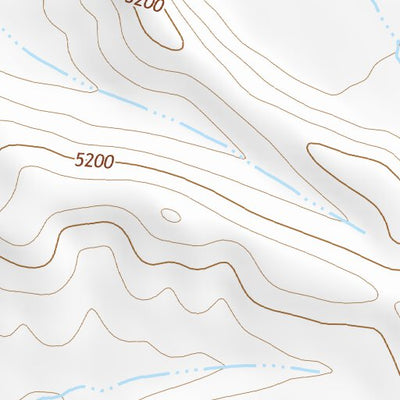 31109NE Page 49 Chiricahua Peak Topo Preview 3