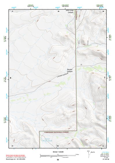 31109NE Page 50 Chiricahua Peak Topo Preview 1