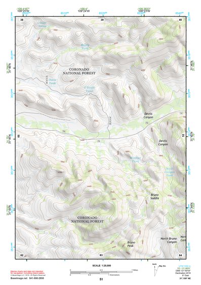31109NE Page 51 Chiricahua Peak Topo Preview 1