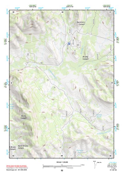 31109NE Page 52 Chiricahua Peak Topo Preview 1