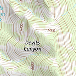 31109NE Page 52 Chiricahua Peak Topo Preview 3