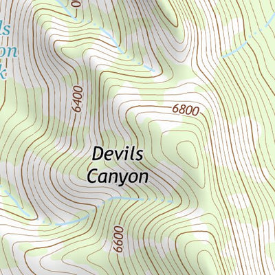 31109NE Page 52 Chiricahua Peak Topo Preview 3