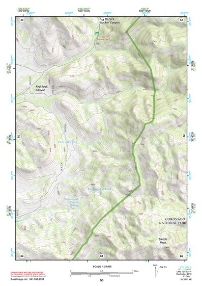 31109NE Page 53 Chiricahua Peak Topo Preview 1
