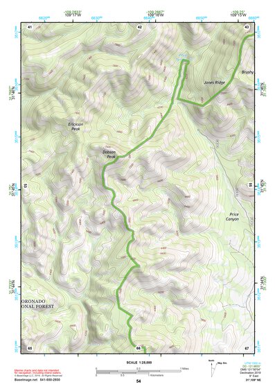 31109NE Page 54 Chiricahua Peak Topo Preview 1