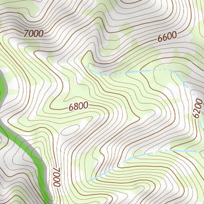 31109NE Page 54 Chiricahua Peak Topo Preview 2