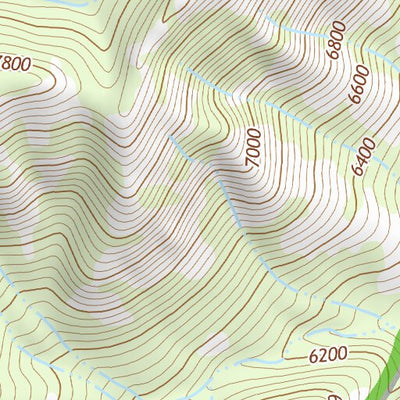 31109NE Page 54 Chiricahua Peak Topo Preview 3