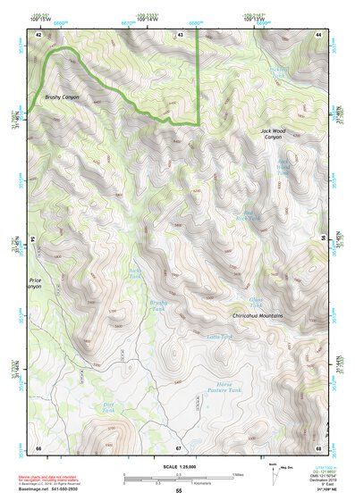 31109NE Page 55 Chiricahua Peak Topo Preview 1