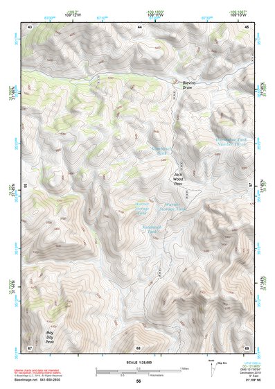 31109NE Page 56 Chiricahua Peak Topo Preview 1