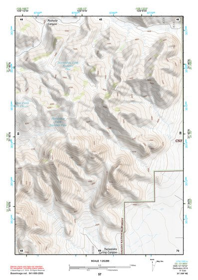 31109NE Page 57 Chiricahua Peak Topo Preview 1