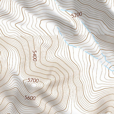 31109NE Page 57 Chiricahua Peak Topo Preview 2