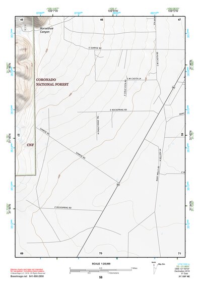 31109NE Page 58 Chiricahua Peak Topo Preview 1