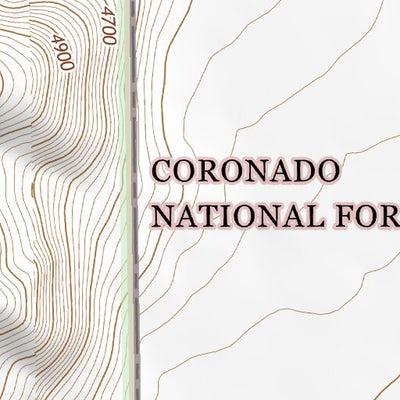 31109NE Page 58 Chiricahua Peak Topo Preview 3