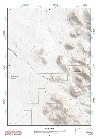 31109NE Page 60 Chiricahua Peak Topo Preview 1