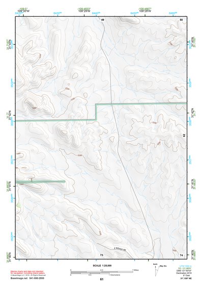 31109NE Page 61 Chiricahua Peak Topo Preview 1