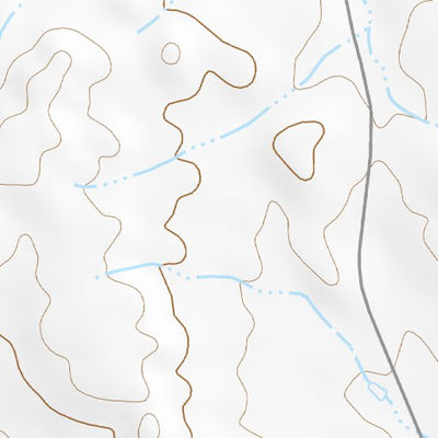 31109NE Page 61 Chiricahua Peak Topo Preview 2