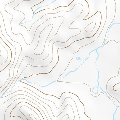 31109NE Page 61 Chiricahua Peak Topo Preview 3