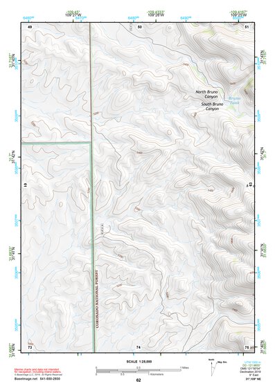 31109NE Page 62 Chiricahua Peak Topo Preview 1