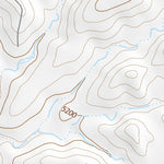 31109NE Page 62 Chiricahua Peak Topo Preview 2
