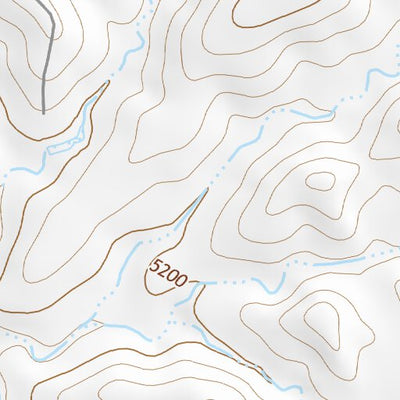 31109NE Page 62 Chiricahua Peak Topo Preview 2