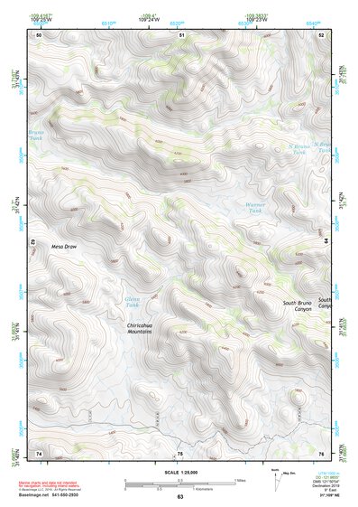31109NE Page 63 Chiricahua Peak Topo Preview 1