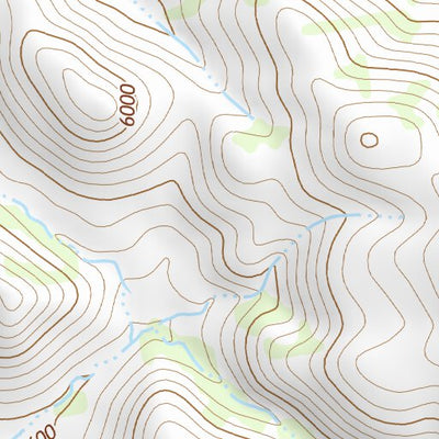 31109NE Page 63 Chiricahua Peak Topo Preview 2