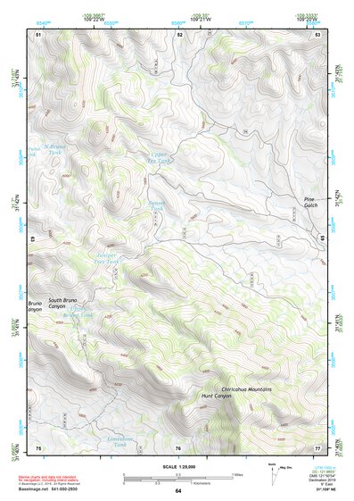 31109NE Page 64 Chiricahua Peak Topo Preview 1