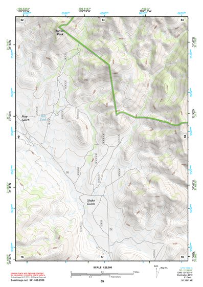 31109NE Page 65 Chiricahua Peak Topo Preview 1