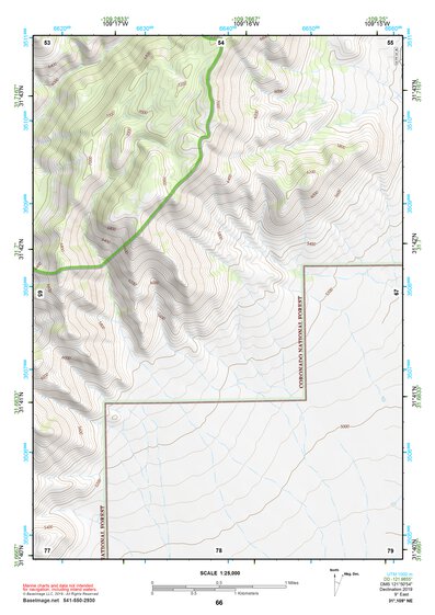 31109NE Page 66 Chiricahua Peak Topo Preview 1