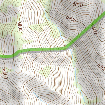 31109NE Page 66 Chiricahua Peak Topo Preview 3