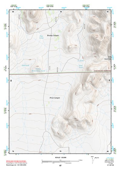 31109NE Page 67 Chiricahua Peak Topo Preview 1