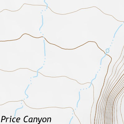 31109NE Page 67 Chiricahua Peak Topo Preview 2