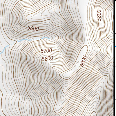 31109NE Page 67 Chiricahua Peak Topo Preview 3