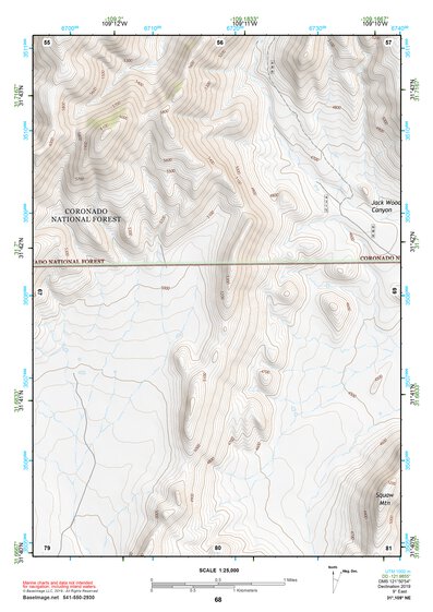 31109NE Page 68 Chiricahua Peak Topo Preview 1