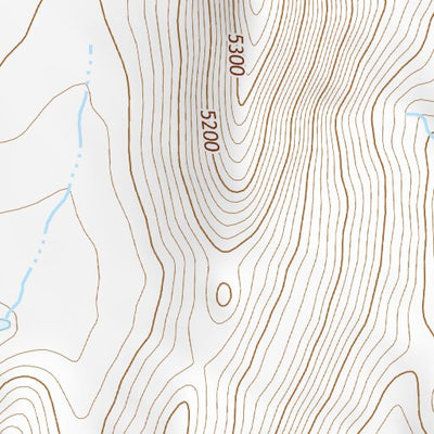 31109NE Page 68 Chiricahua Peak Topo Preview 2