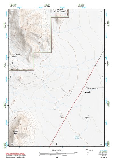 31109NE Page 69 Chiricahua Peak Topo Preview 1
