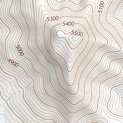 31109NE Page 69 Chiricahua Peak Topo Preview 3