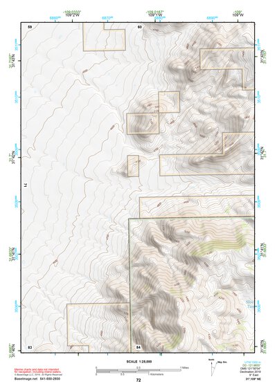 31109NE Page 72 Chiricahua Peak Topo Preview 1