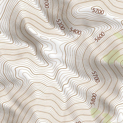 31109NE Page 72 Chiricahua Peak Topo Preview 3