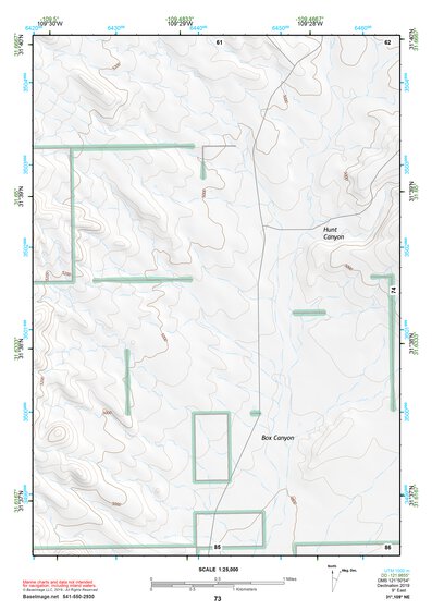 31109NE Page 73 Chiricahua Peak Topo Preview 1