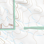 31109NE Page 73 Chiricahua Peak Topo Preview 3