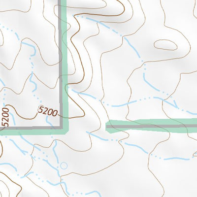 31109NE Page 73 Chiricahua Peak Topo Preview 3