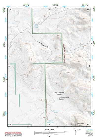31109NE Page 74 Chiricahua Peak Topo Preview 1