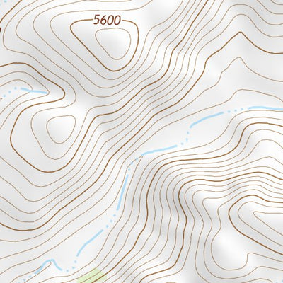 31109NE Page 74 Chiricahua Peak Topo Preview 3
