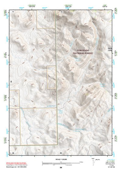 31109NE Page 84 Chiricahua Peak Topo Preview 1