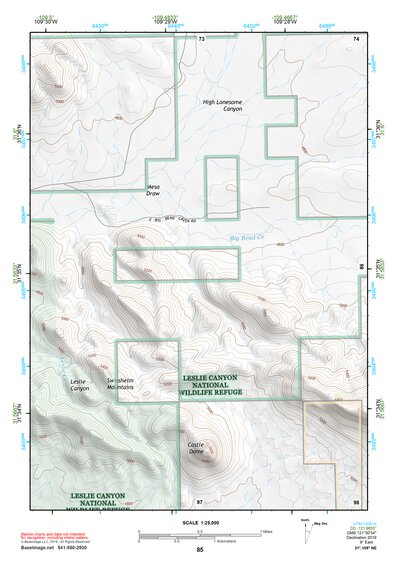 31109NE Page 85 Chiricahua Peak Topo Preview 1