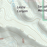 31109NE Page 85 Chiricahua Peak Topo Preview 3