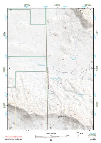 31109NE Page 86 Chiricahua Peak Topo Preview 1